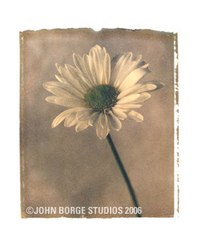 Thumbnail of John Borge - Daisy