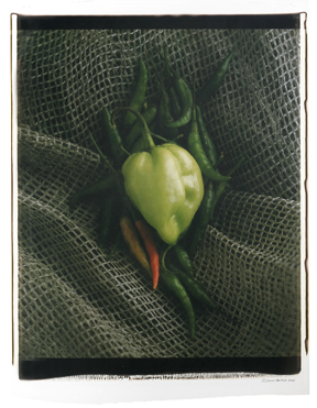 Thumbnail of John Borge - The Polaroid Project #1