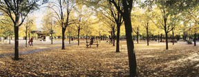 Thumbnail of John Borge - Jardin du Luxembourg