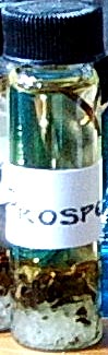 Prosperity Oil 2 Dram