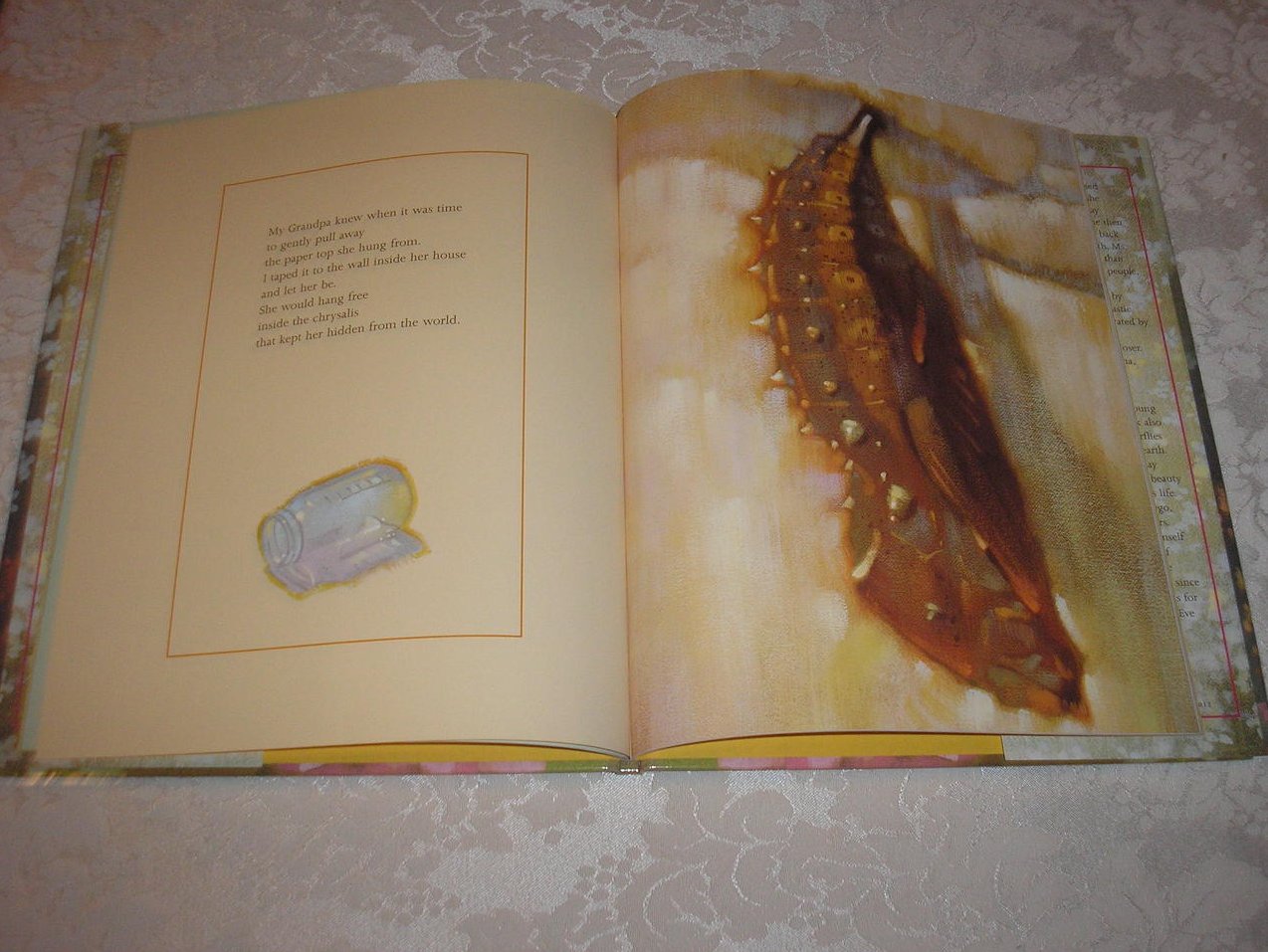 Butterfly House Eve Bunting like new first edition hc with dj