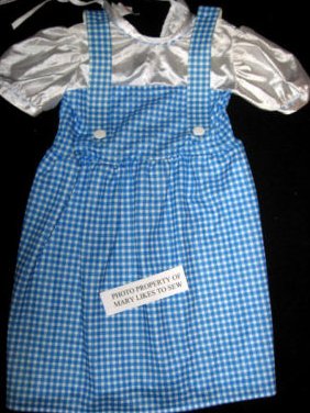 Dorothy Wizard of Oz Licensed Childs Costume Size Medium gently used 