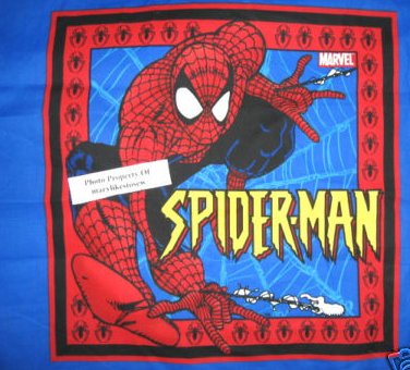 Spiderman and his web comic original Fabric Pillow Panel set of two the same