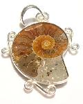 Ammonite fossil pendant sterling silver :  gemstone classic treasures jwellery gemstone pendant
