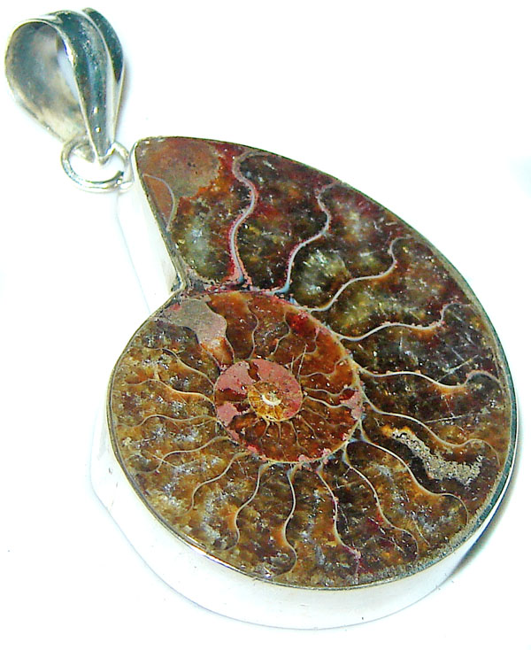 Ammonite Fossil Sterling Silver Pendant