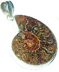 Ammonite Fossil Sterling Silver Pendant Ammonite Fossil Sterling Silver Pendant
