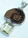 Ammonite Fossil Citrine .925 Sterling Silver Pendant :  new jewelry gemsones classictreasures