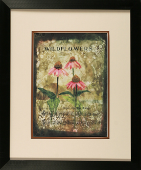 Thumbnail of Sandra Miles - Wildflower of the Plains
