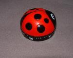 Ladybug timer kitchen cooking home garden cook