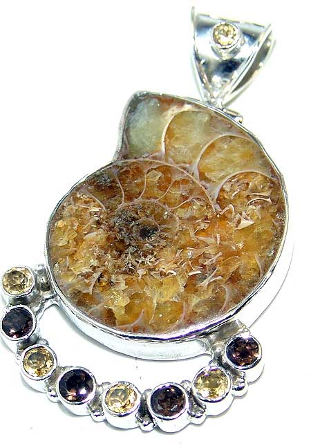 Ammonite fossil pendant amethyst citrine gemstone jewelry :  gemstones fossol jewellery pendant