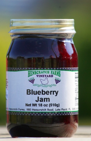 Blueberry Jam