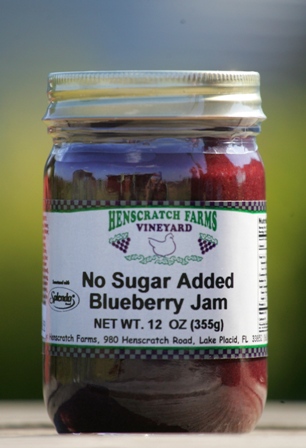 Blueberry Jam No Sugar Added