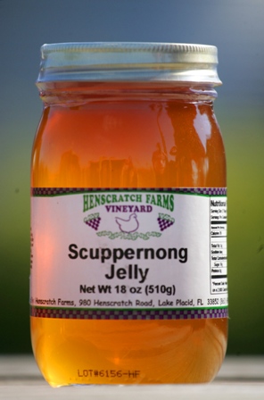 Scuppernong Jelly