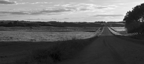 Thumbnail of Scott Thuen - Shadow Cast Road