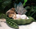 Kitchen Fairy Peapod Santiago Fairies Enesco Pixie