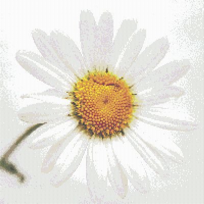 Knitting Patterns Daisy Stitch