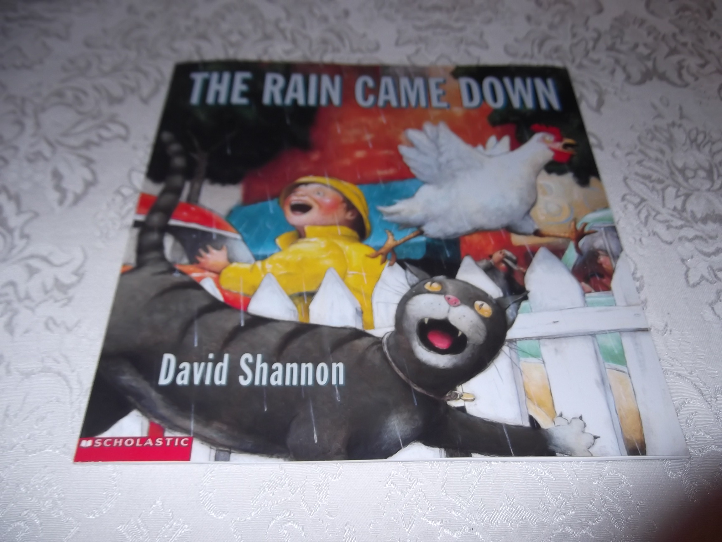 The Rain Came Down brand new sc David Shannon