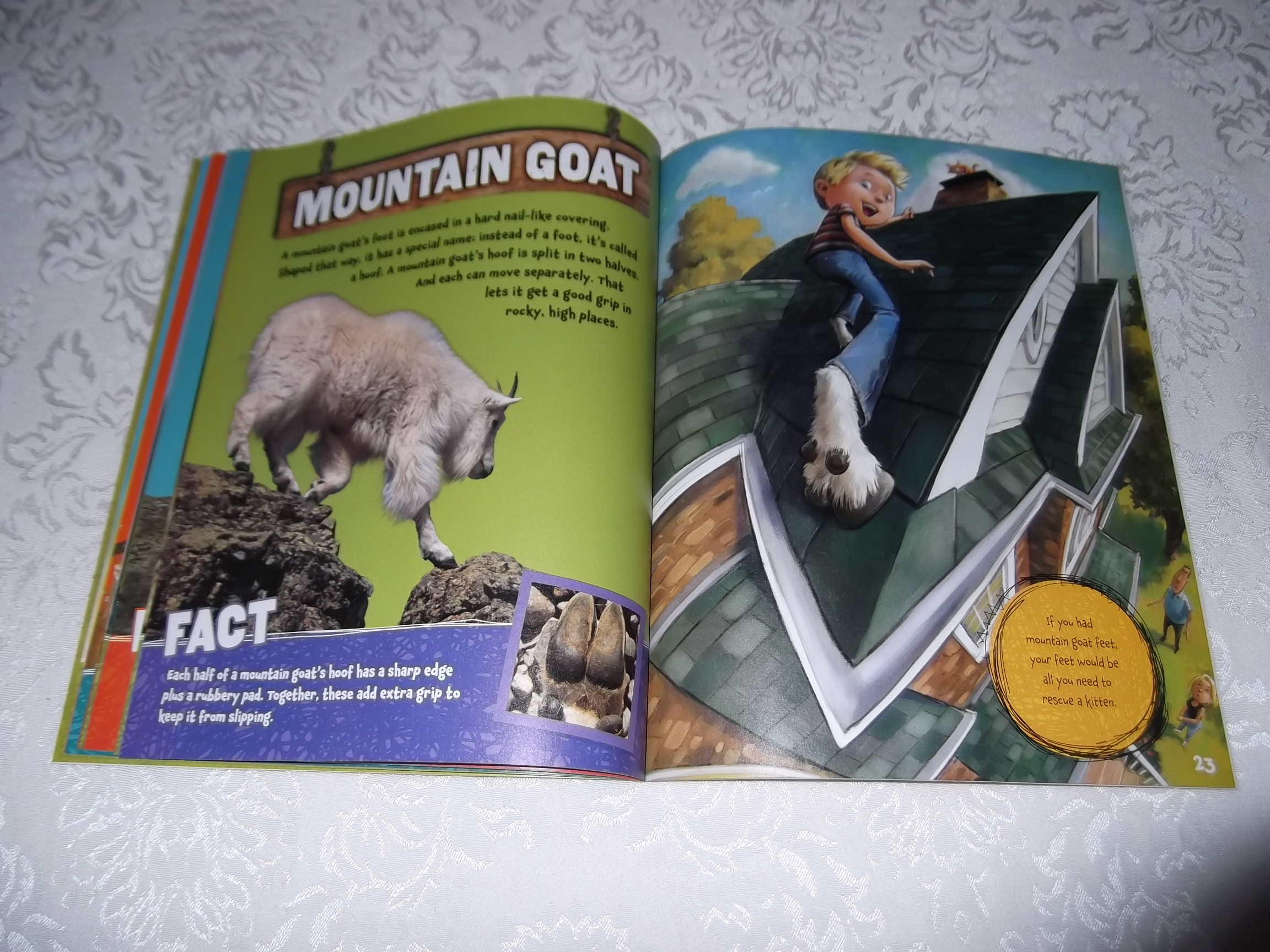 what if you had animal feet what if you had animal feet