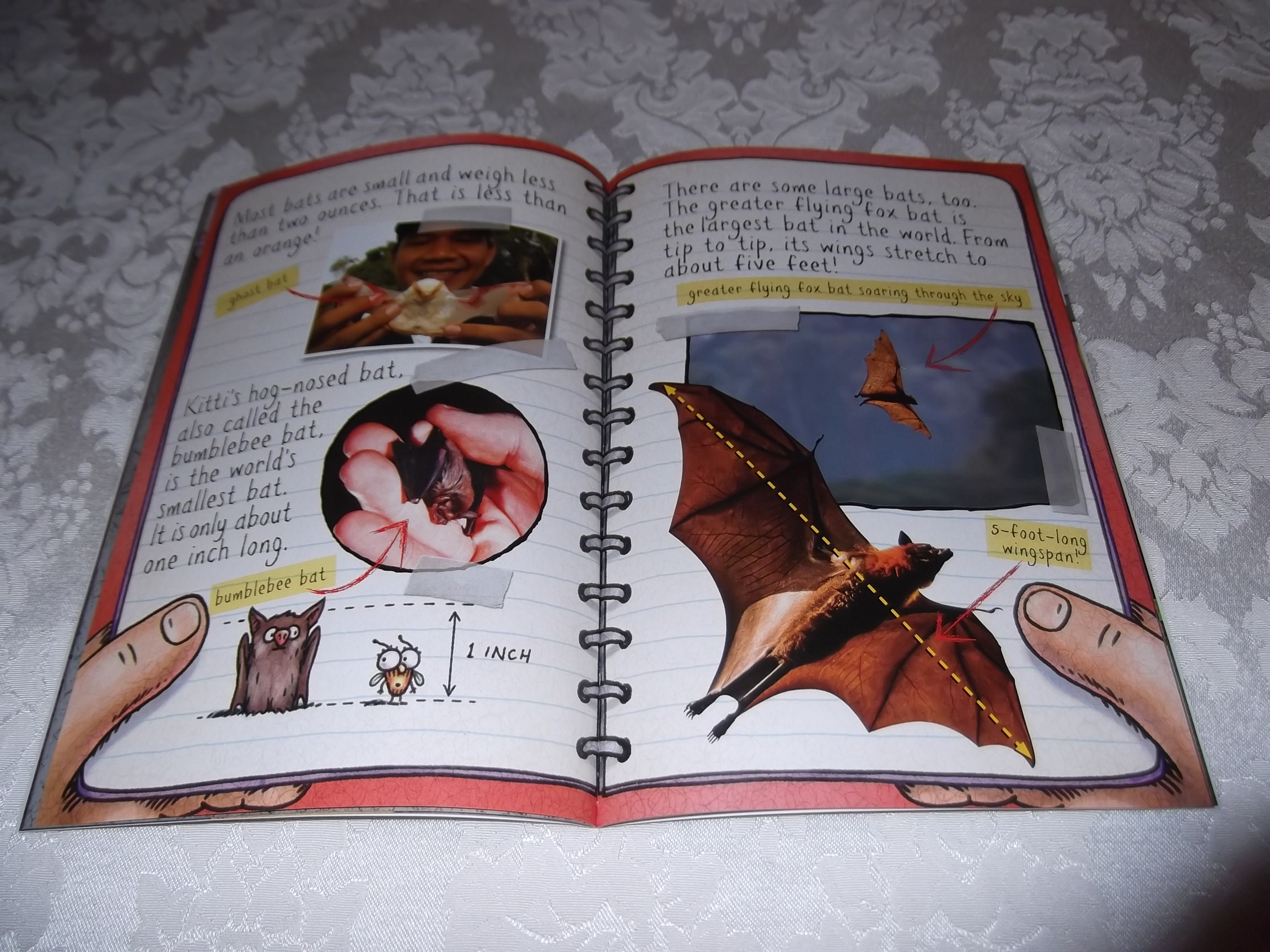 Fly Guy Presents: Bats Scholastic Reader, Level 2 Fly Guy Presents: Bats Scholastic Reader, Level 2