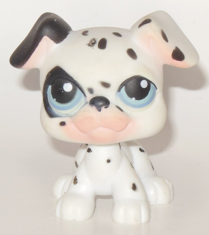 lps boxer puppy prestomart littlest pet shop boxer magnetic figure bobblehead number 84 lps lps boxer puppy prestomart littlest pet shop boxer magnetic figure bobblehead number 84 lps