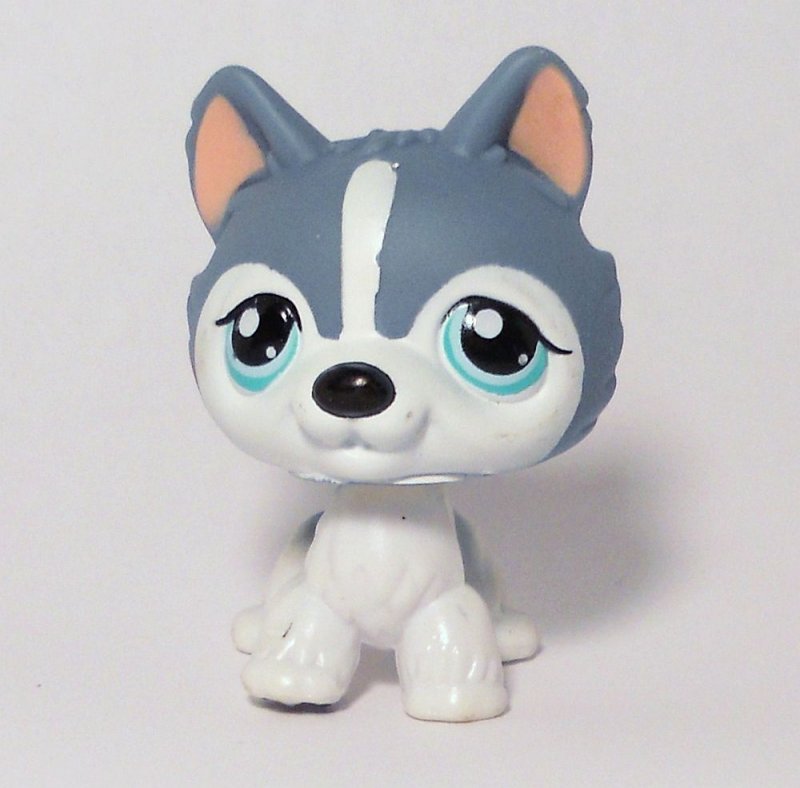 lps husky puppy littlest pet shop gray white husky no puzzle sp ed lps husky puppy littlest pet shop gray white husky no puzzle sp ed