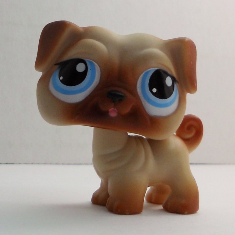 pug pet shop littlest pet shop pug 1312 brown pug pet shop littlest pet shop pug 1312 brown
