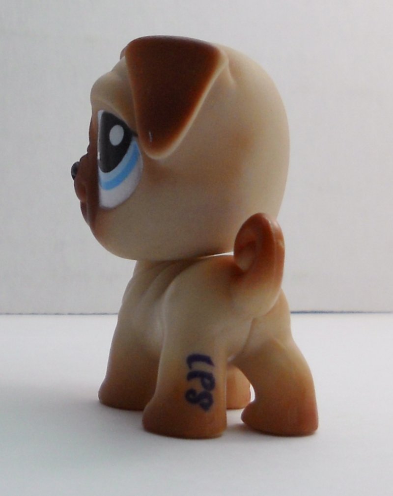 pug pet shop littlest pet shop pug 1312 brown pug pet shop littlest pet shop pug 1312 brown