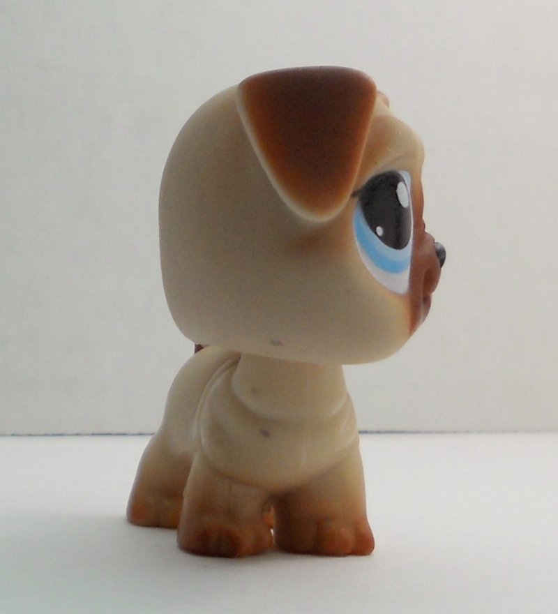pug pet shop littlest pet shop pug 1312 brown pug pet shop littlest pet shop pug 1312 brown