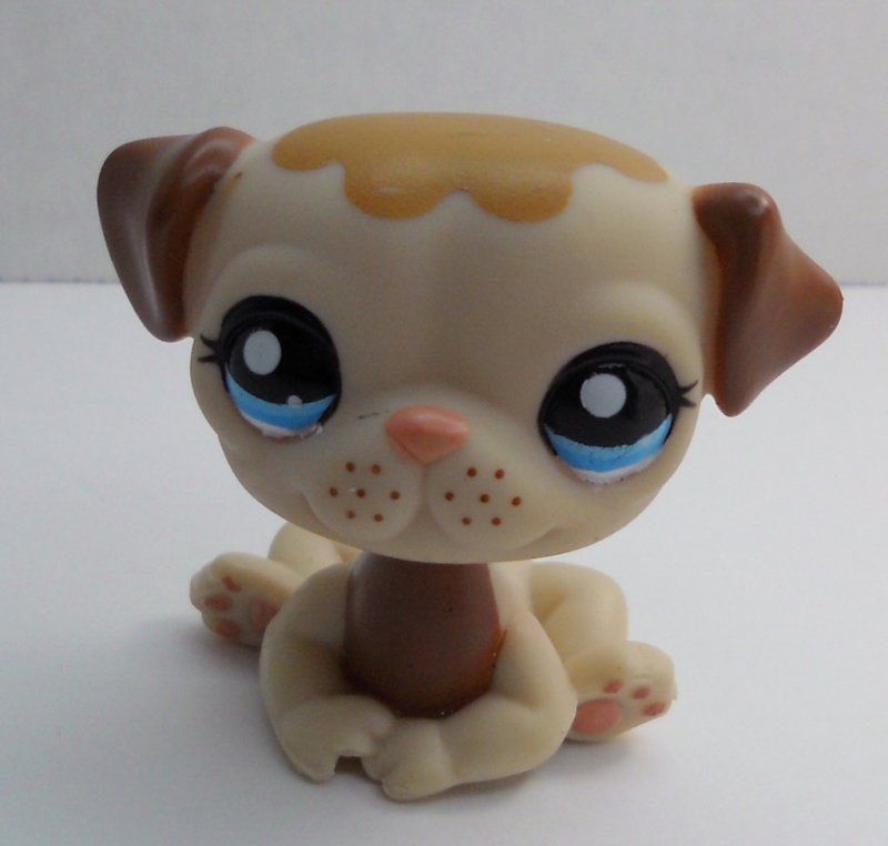pug pet shop littlest pet shop pug 1753 brown pug pet shop littlest pet shop pug 1753 brown