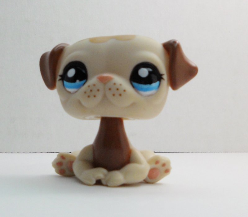 pug pet shop littlest pet shop pug 1753 brown pug pet shop littlest pet shop pug 1753 brown