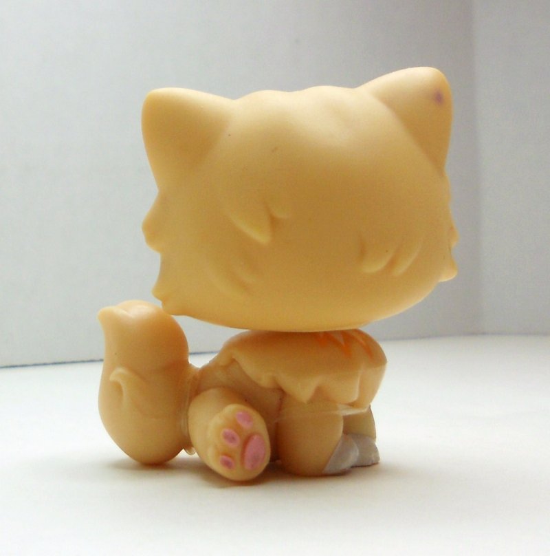 orange cat lps