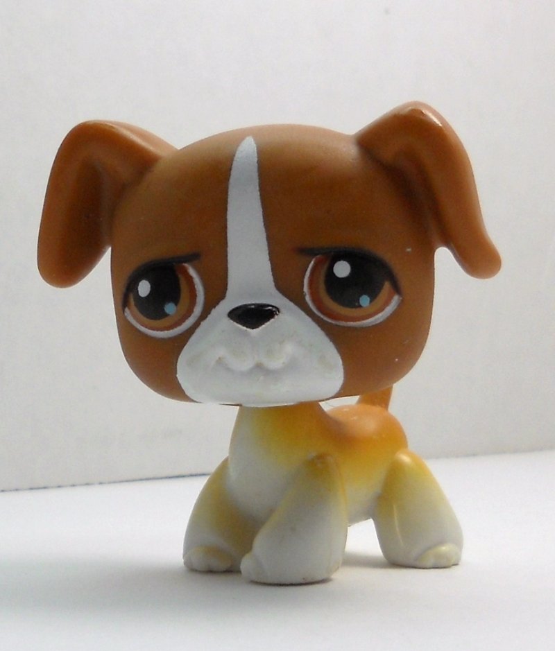 lps boxer puppy littlest pet shop boxer 25 early release 2004 lps boxer puppy littlest pet shop boxer 25 early release 2004