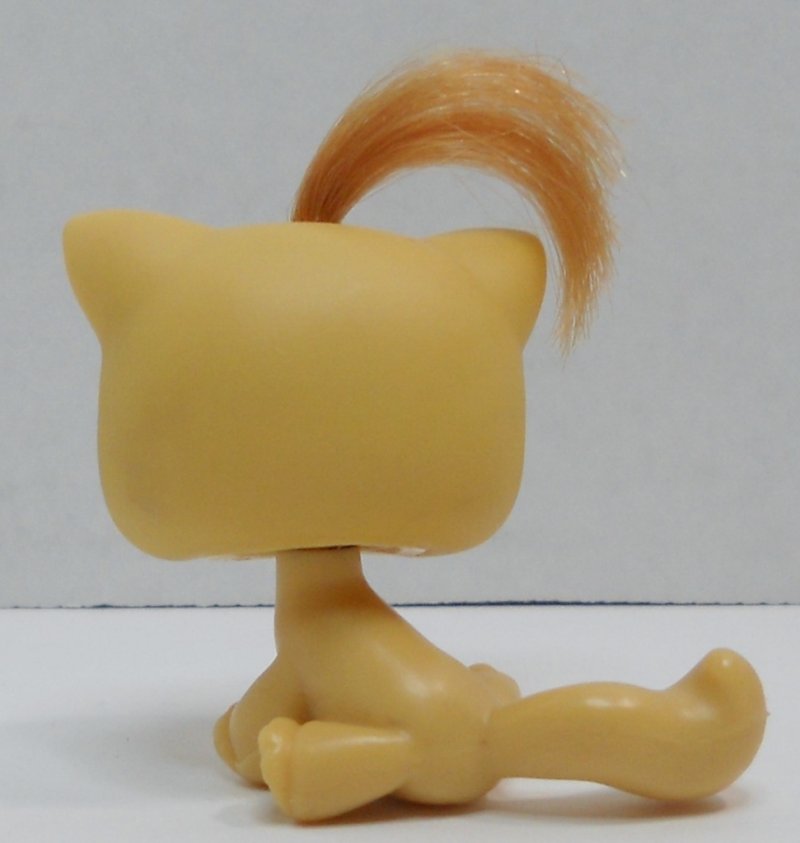 orange cat lps