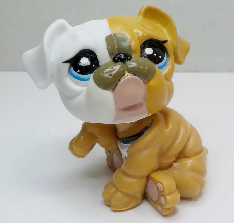 bulldog puppy toys