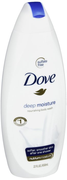 Case of 4-Dove Body Wash Deep Moisture Liquid 22 oz By Unilever Hpc-USA 