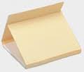Rx File Folder Hvy Dbl 12