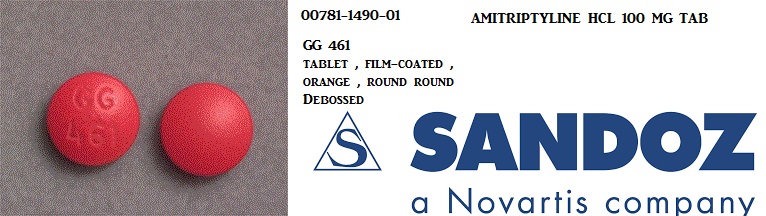 Rx Item-Amitriptyline Hcl 100MG 100 Tab by Sandoz Pharma USA 