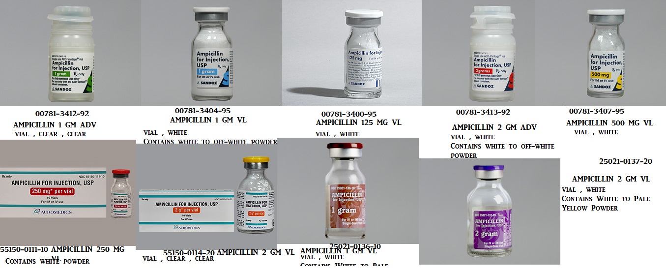 Rx Item-Ampicillin Sodium 10GM 10 Vial by Auromedics Pharma USA 