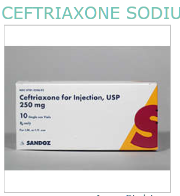 Rx Item-Ceftriaxone 250MG 10 Vial by Sandoz Pharma USA 