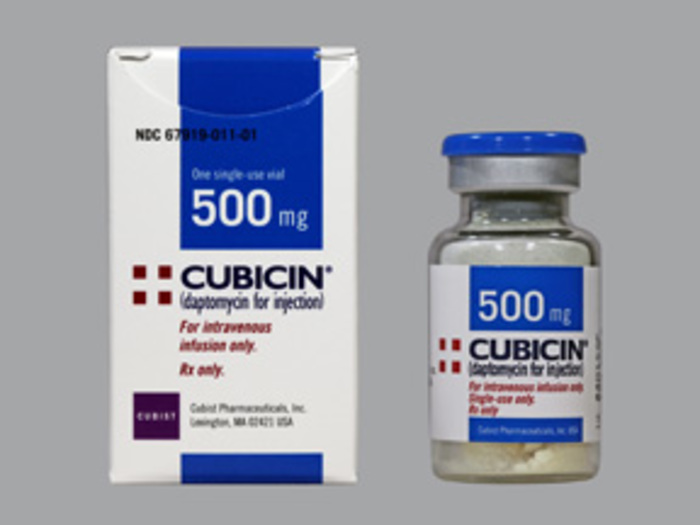 Rx Item-Cubicin 500MG Single Dose Vial -Keep Refrigerated - by Merck & Co Pharma USA 