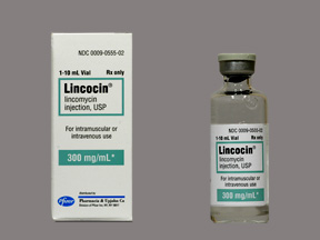 Rx Item-Lincocin 300MG/ML 10 ML Vial by Pfizer Pharma USA 