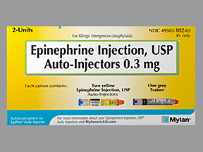 Rx Item-Epinephrine 0.3MG 2 PFS by Mylan Specialty Lpag 