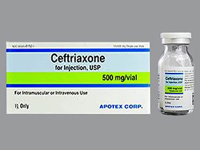 Rx Item-Ceftriaxone 500MG 10 Vial by Apotex Pharma USA 