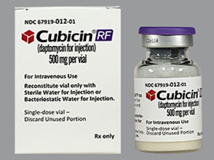 Rx Item-Cubicin Rf 500MG Single Dose Vial by Merck & Co Pharma USA 