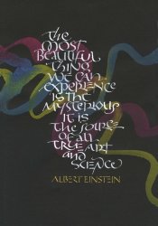 Thumbnail of Albert Einstein #902