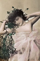 Thumbnail of Alluring Semi Nude Antique Photo Postcard Reproduction