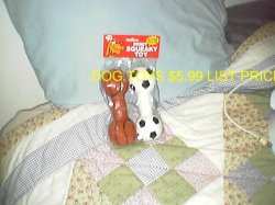 Thumbnail of DOG TOYS