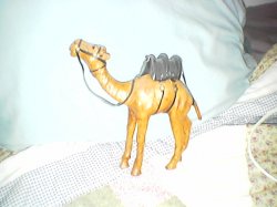 Thumbnail of CAMEL