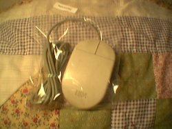Thumbnail of MOUSE