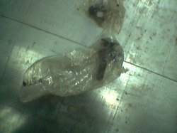 Thumbnail of 1981 buick regal 2dr rear shock hardware